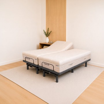 Clover 2.0 Adjustable bed base + Gausmann Hagen II 12