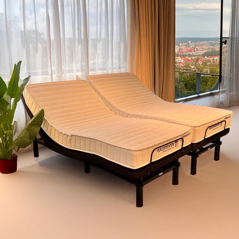 Shop for Clover Adjustable bed